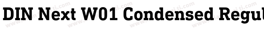 DIN Next W01 Condensed Regular字体转换